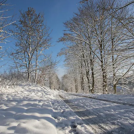 Welcome In - Mountain Escape 66 - Komfort & Aussicht - Niedersfeld Winterberg