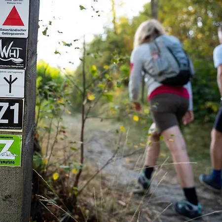 Welcome In - Mountain Escape 66 - Komfort&aussicht - Niedersfeld