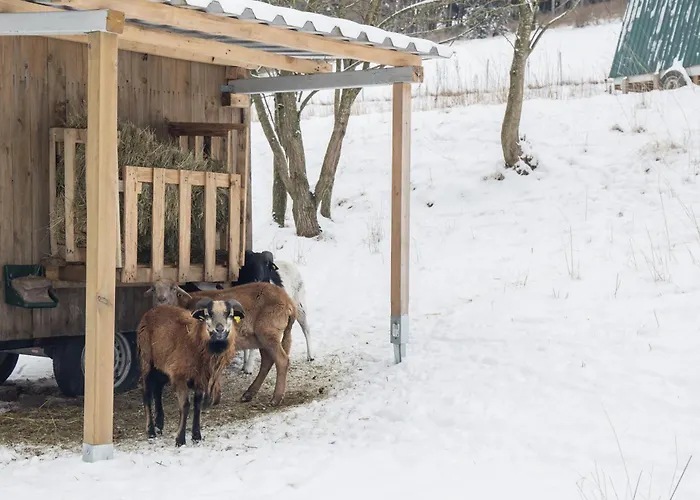 Mountain Escape 66 - Comfort & Uitzicht | Am Bergelchen 66 Niedersfeld Semesterbostad