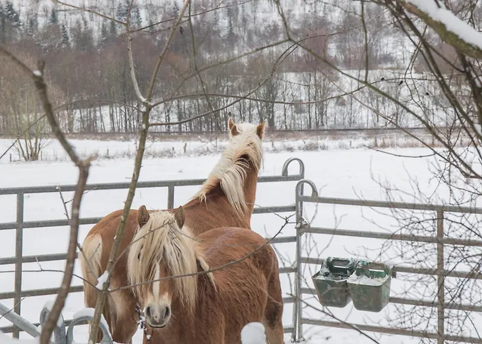 Mountain Escape 66 - Comfort & Uitzicht | Am Bergelchen 66 Niedersfeld Nyaraló Winterberg