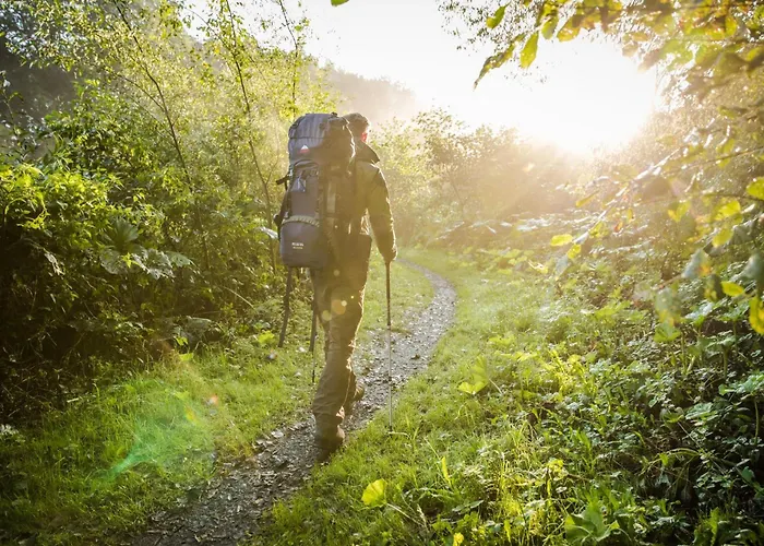 Mountain Escape 66 - Comfort & Uitzicht | Am Bergelchen 66 Niedersfeld *