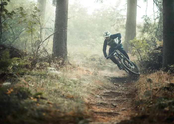 Mountain Escape 66 - Comfort & Uitzicht | Am Bergelchen 66 Niedersfeld Casa vacanze *