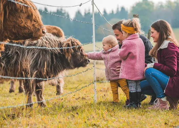 Mountain Escape 66 - Comfort & Uitzicht | Am Bergelchen 66 Niedersfeld