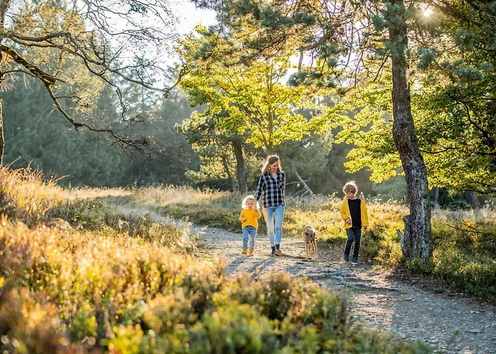 Semesterbostad Mountain Escape 66 - Comfort & Uitzicht | Am Bergelchen 66 Niedersfeld *