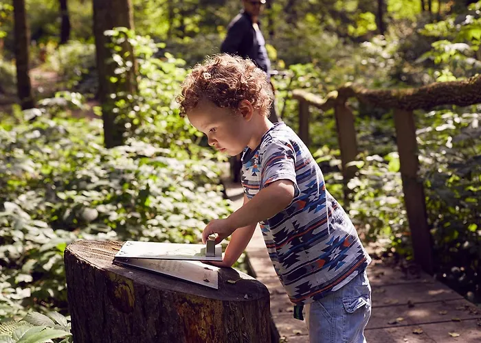 Holiday home Mountain Escape 66 - Comfort & Uitzicht | Am Bergelchen 66 Niedersfeld