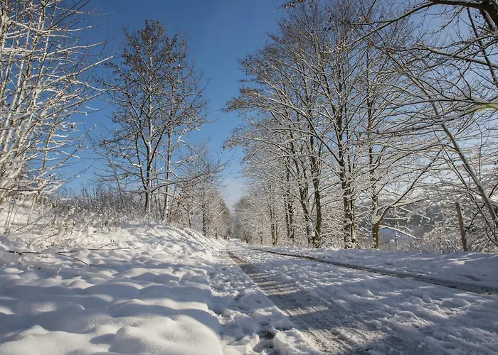 Mountain Escape 66 - Comfort & Uitzicht | Am Bergelchen 66 Niedersfeld Winterberg